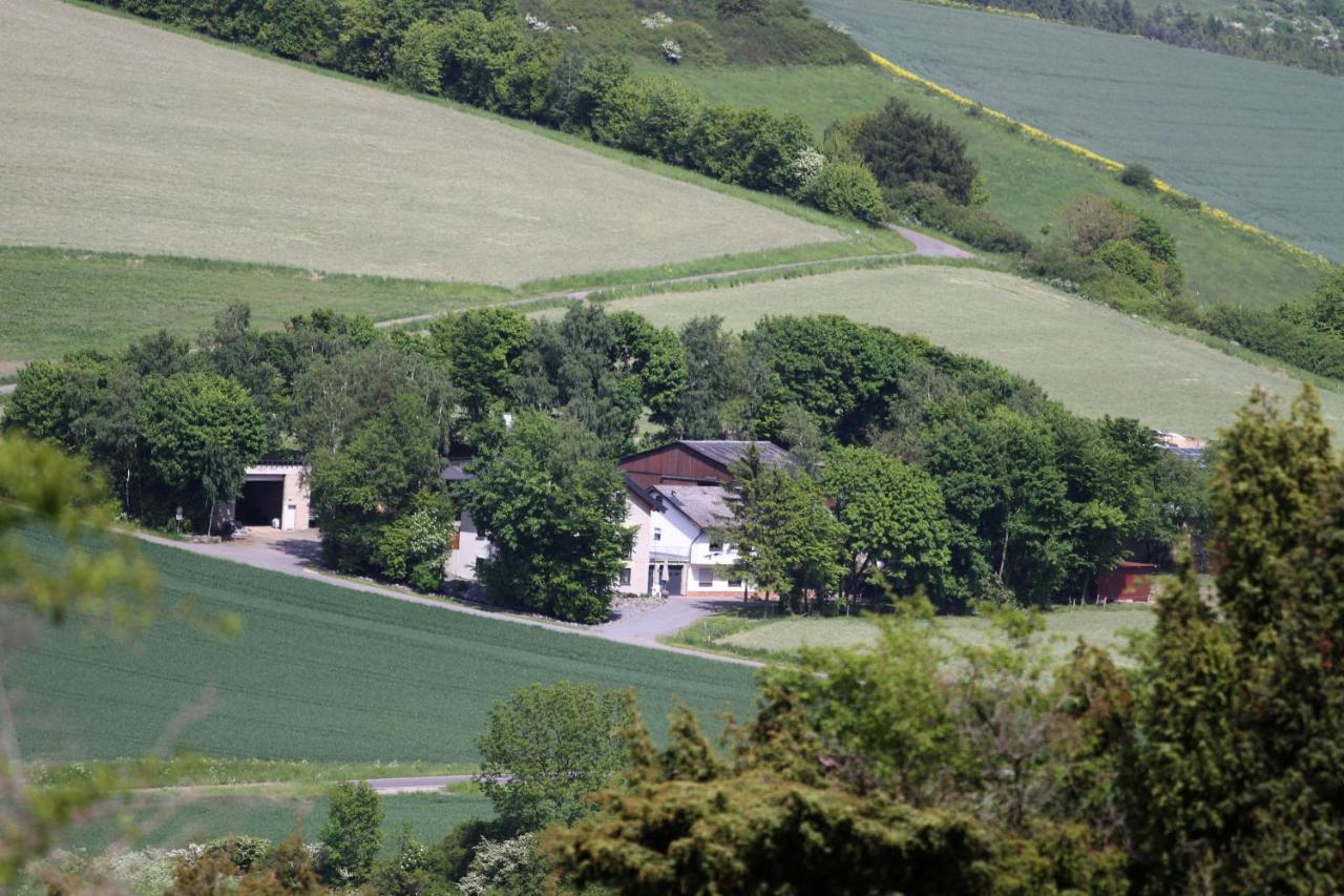 Ferienwohnung Heideblick Volkesfeld Exterior foto